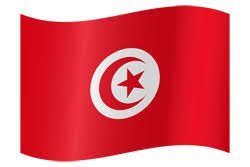 علم تونس 150/90 سم
